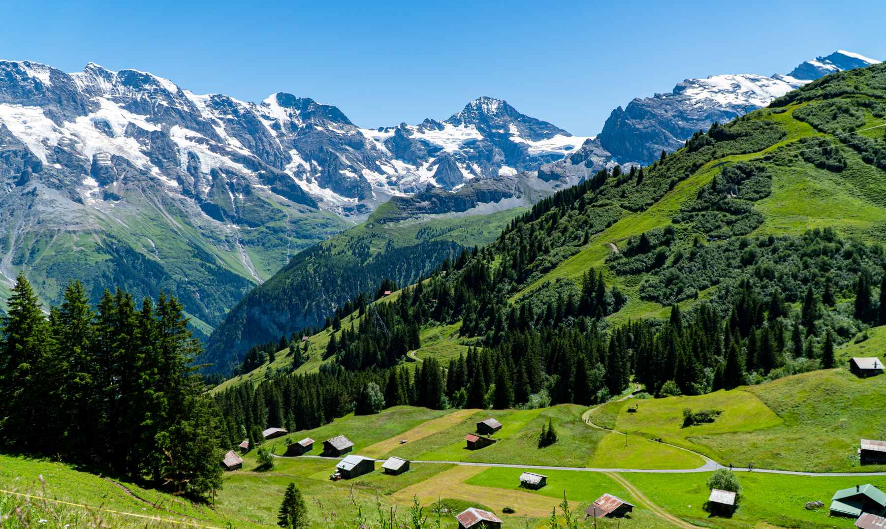 Green alpine valley below snow-covered mountains