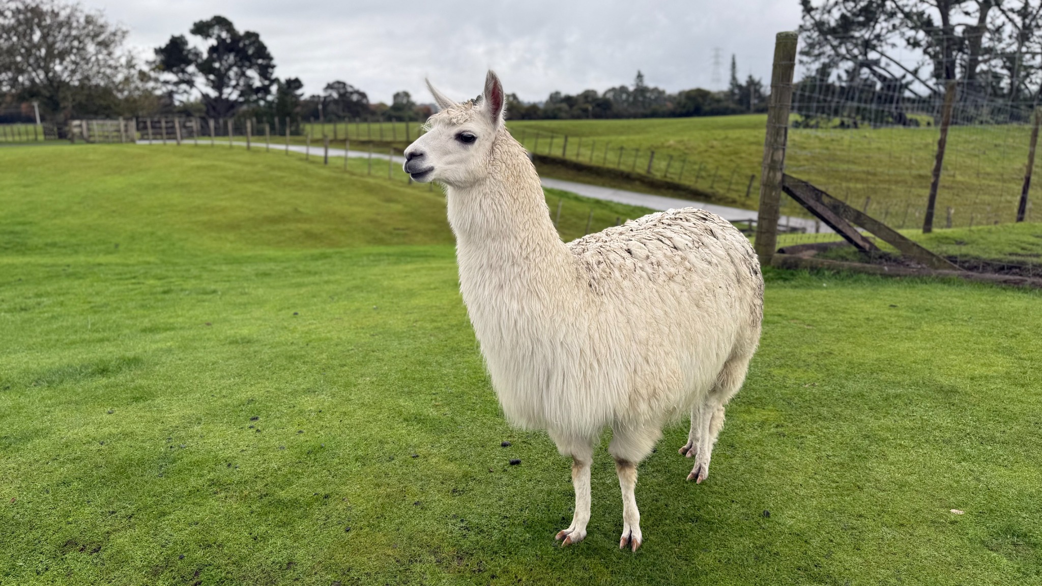 New Zealand Trip Summary (4/7/26-4/20/26)