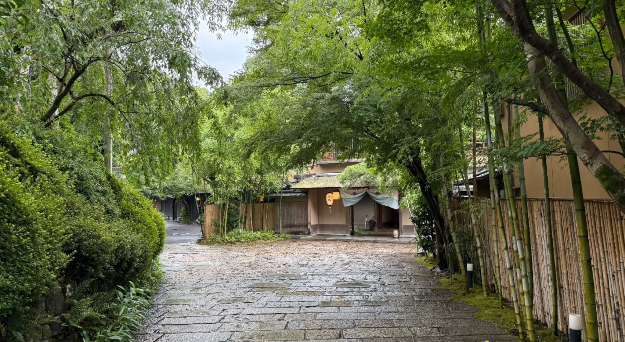 Kyoto (arrival)