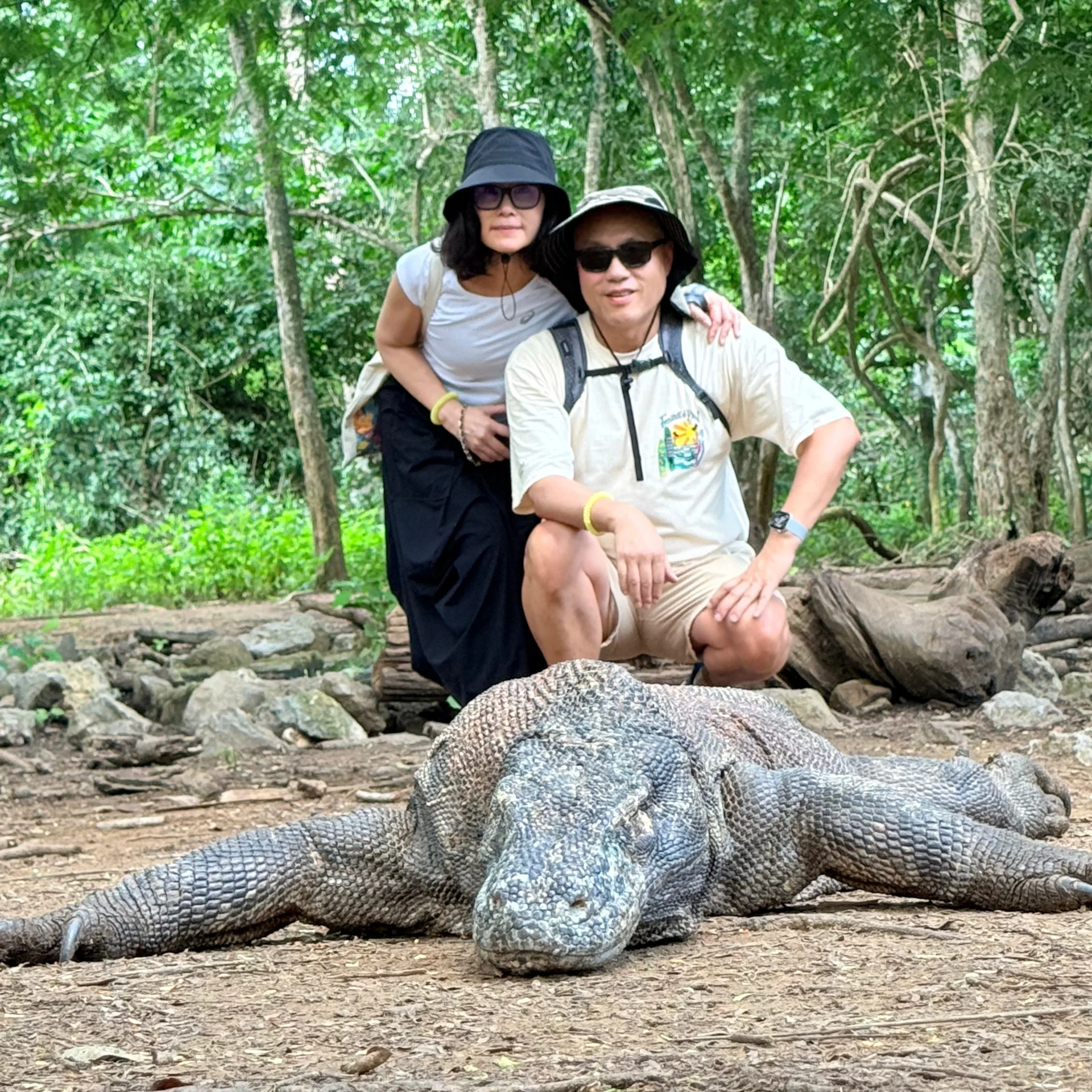 Komodo Dragon