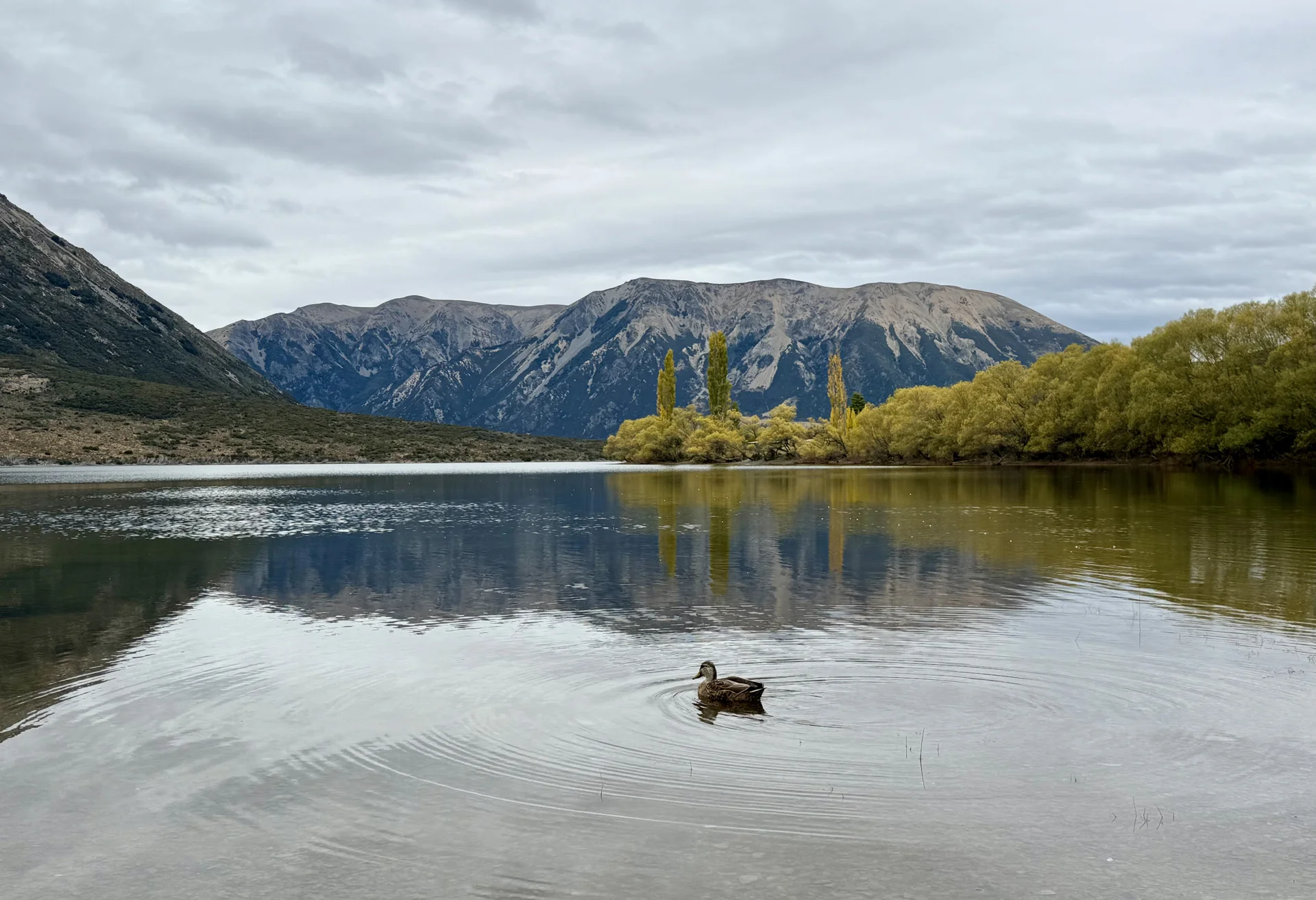 Christchurch to Queenstown: A Scenic Drive