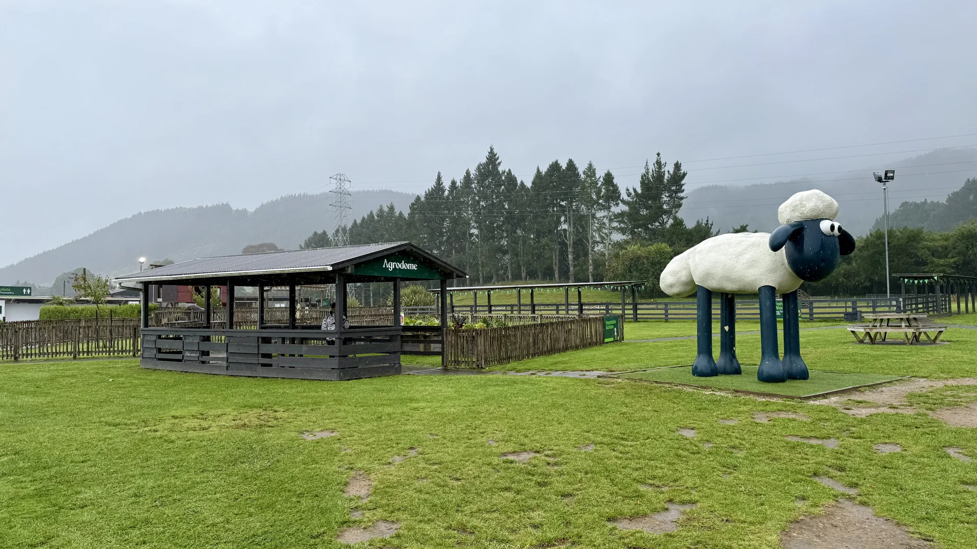 Rotorua to Auckland