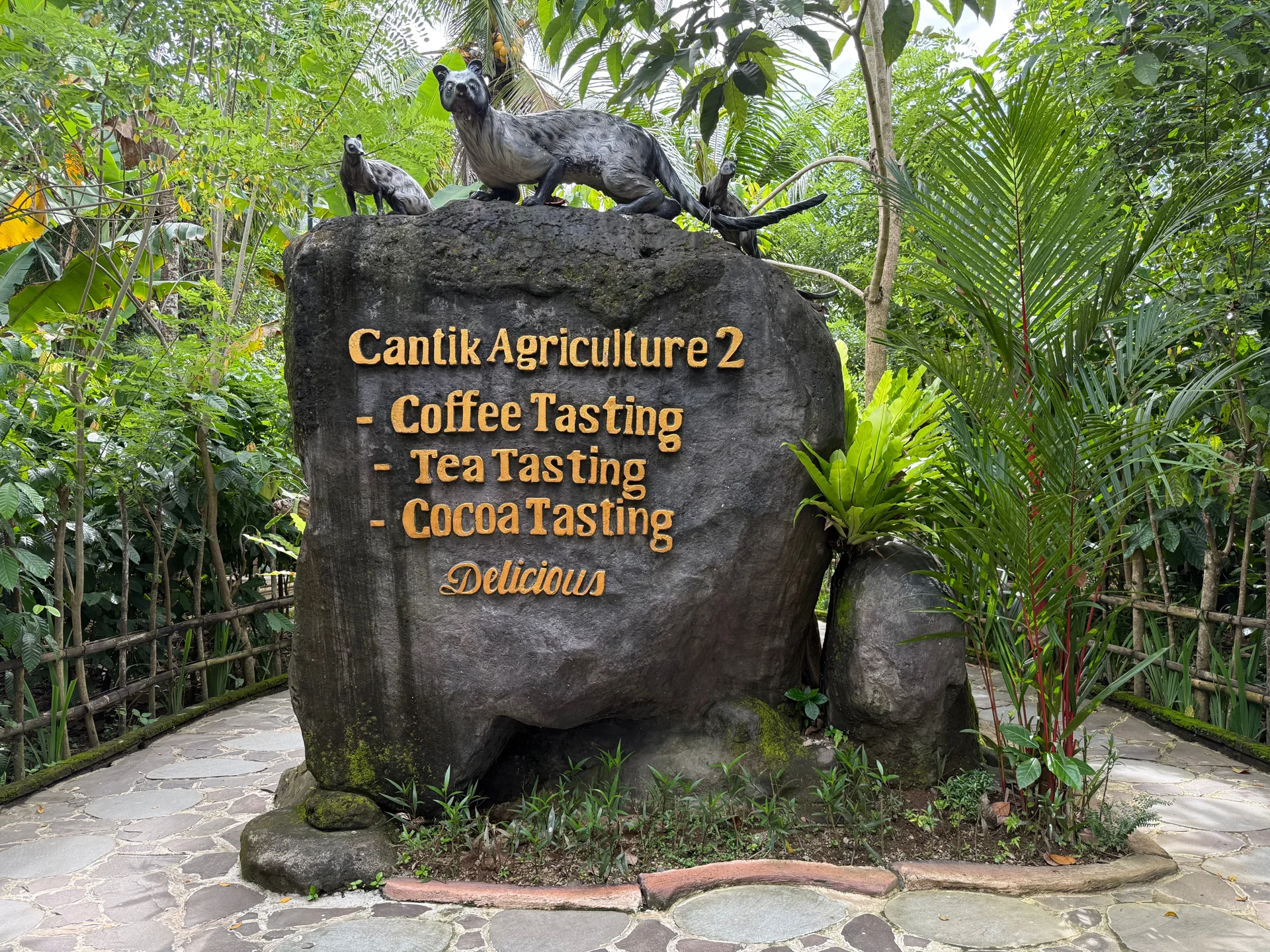 Luwak Coffee